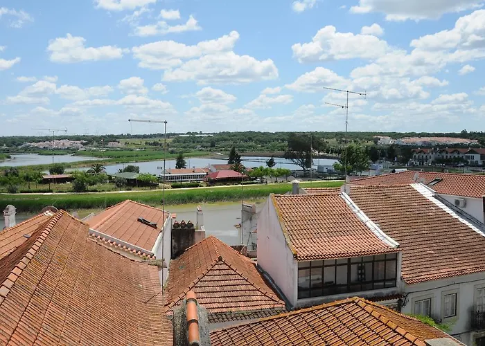 A Cegonha