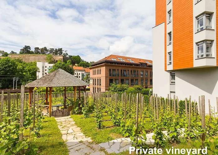 Albergo a parte: Albertov Rental Apartments