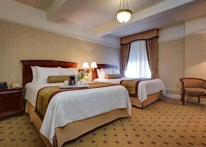 Dog friendly hotels Wellington
