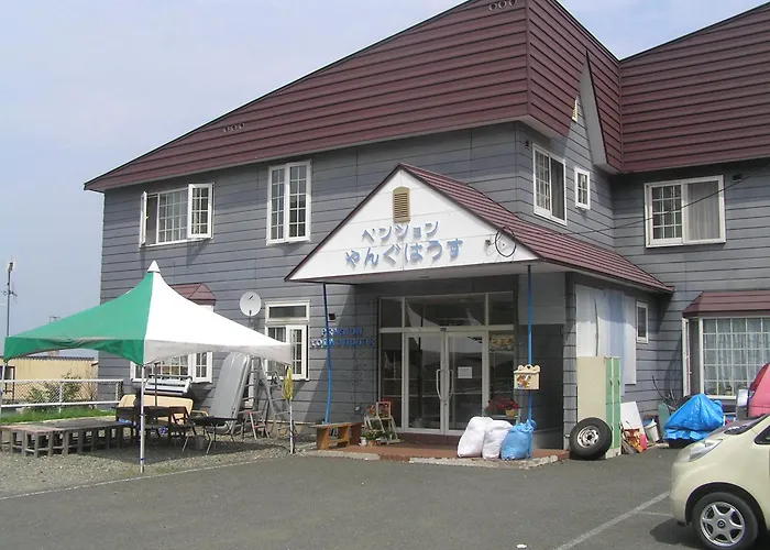 Pension Young House