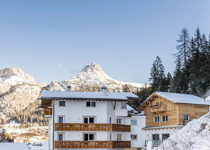 3 star hotel: Hotel La Pineta