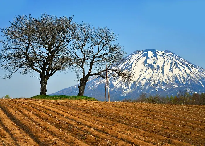 3 star hotels Niseko Alpen