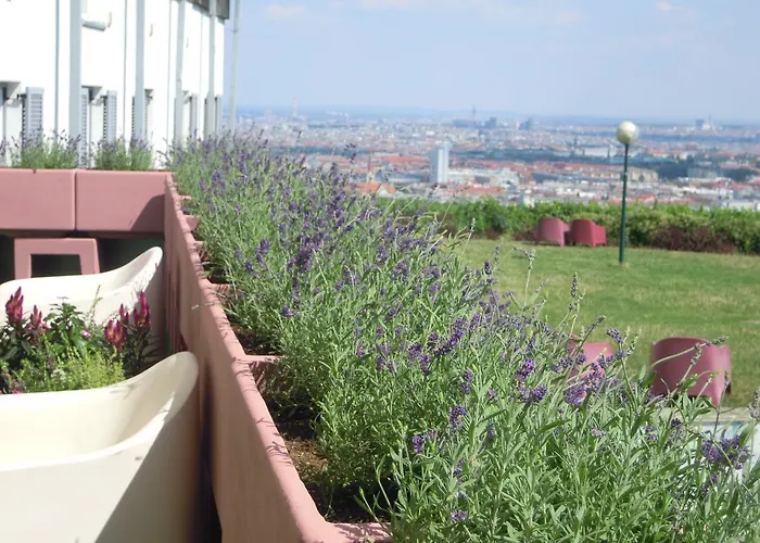 Ostello: Palace Hostel Vienna