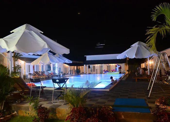 Hôtel accueillant les animaux: Anna Nguyen Bungalow