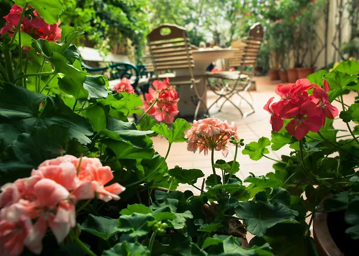 Hôtel accueillant les animaux: Vienna Hostel Ruthensteiner