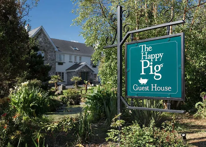 Happy Pig
