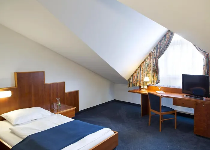 Dog friendly hotels Paradies