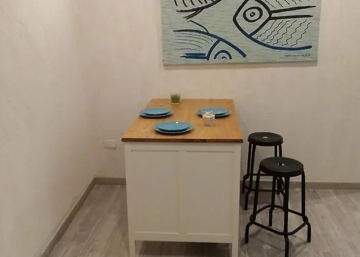  Aurora Holidays