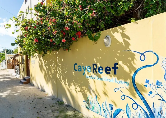 Private villas Caye Reef Condos