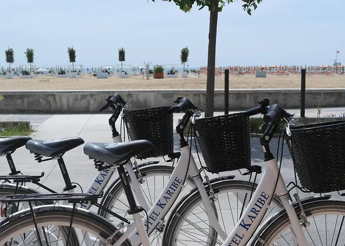 Hotel adatto agli animali: Hotel Karibe